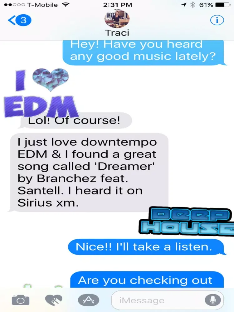 تصاویر EDM Stickers iPad 