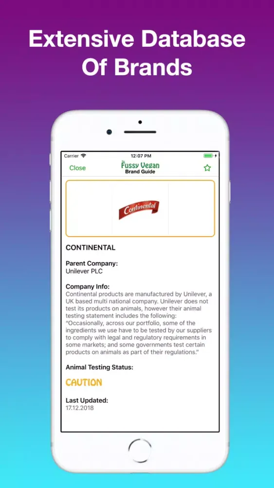 Fussy Vegan Brand Guide Screenshots