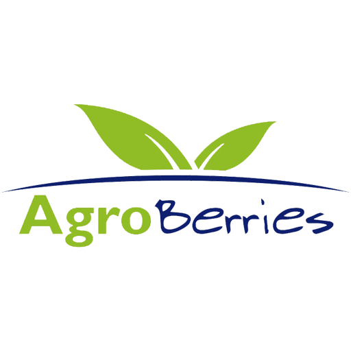 Agroberries Control Interno
