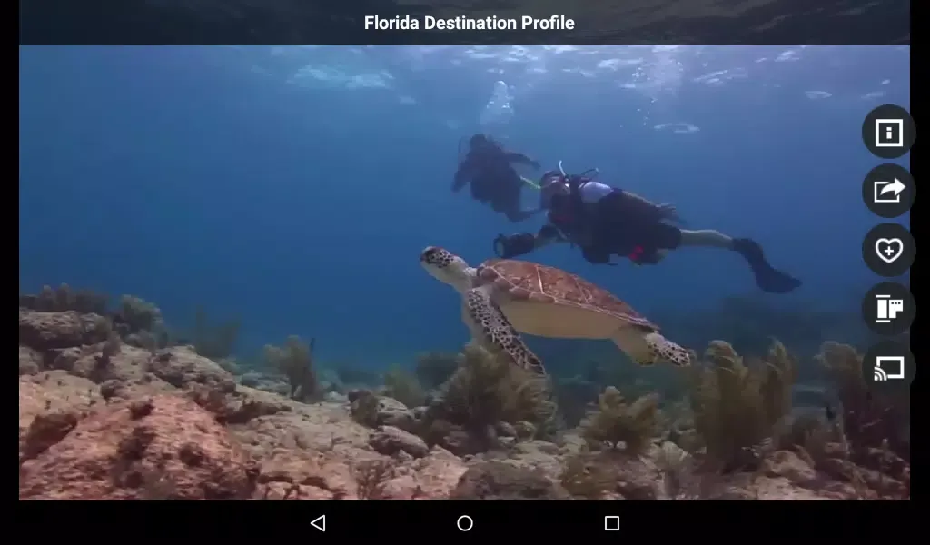 Capturas de pantalla de TripUSA