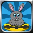 Saving Bunnies -Rescue Mission