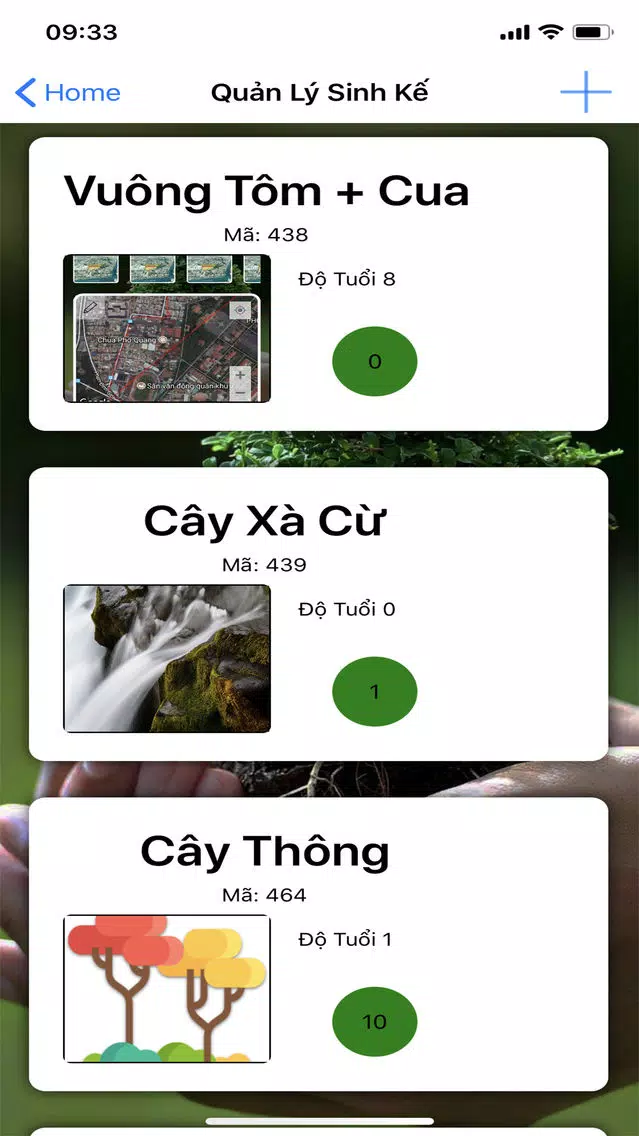 Captures d'écran de PFG - Việt Nam