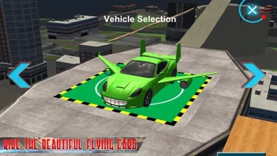 Flying Car Real Driving应用截图