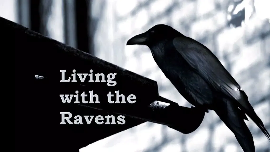 Captures d'écran de Ravens at the Tower