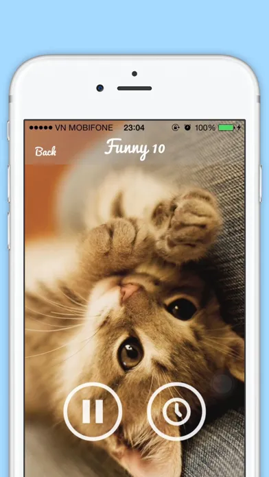 Ảnh chụp màn hình của Funny Cat Sounds - Cat Music, Meow Sounds, Kitten Sounds, Angry Cat sounds