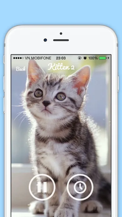 Ảnh chụp màn hình của Funny Cat Sounds - Cat Music, Meow Sounds, Kitten Sounds, Angry Cat sounds