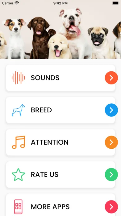 صور Dog Sounds - Breed, Attention