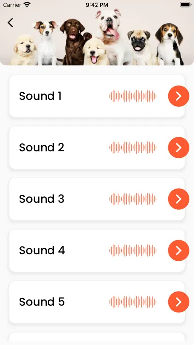 صور Dog Sounds - Breed, Attention