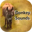 Donkey Sounds - Funny Sounds