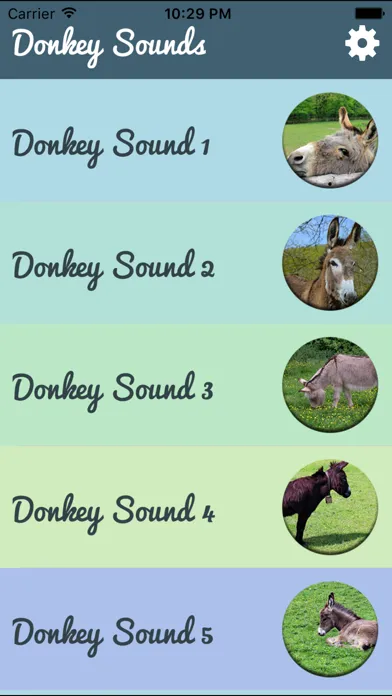 Capturas de pantalla de Donkey Sounds - Funny Sounds