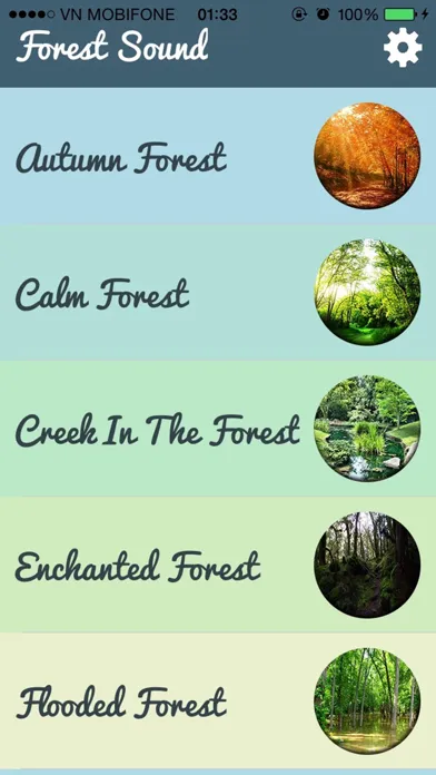 Forest Sounds - Forest Music,Sound Therapy স্ক্রিনশট