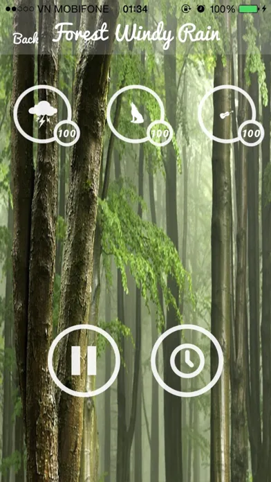 Forest Sounds - Forest Music,Sound Therapy স্ক্রিনশট