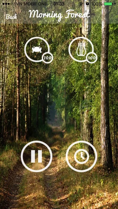 Forest Sounds - Forest Music,Sound Therapy স্ক্রিনশট