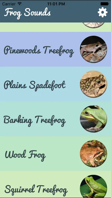 Frog  Sounds - Toad, Greenhouse Frog スクリーンショット