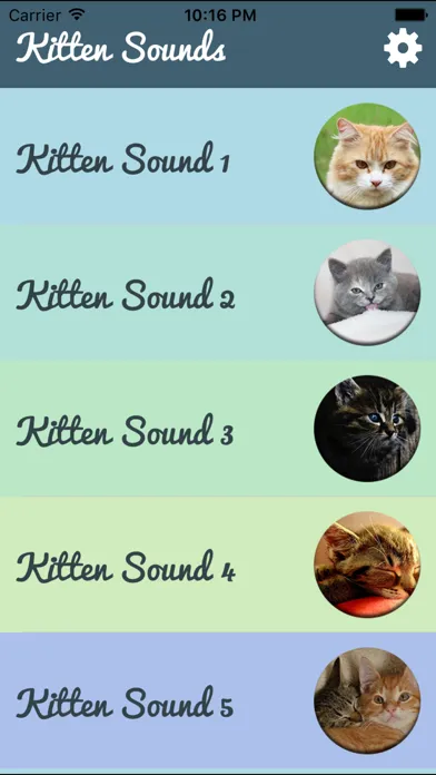 Ảnh chụp màn hình của Kitten Sounds – Cat Meow Sound