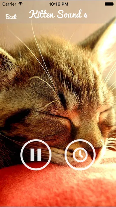 Ảnh chụp màn hình của Kitten Sounds – Cat Meow Sound