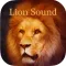 Lion Sounds - Lion Roaring, Lion Music