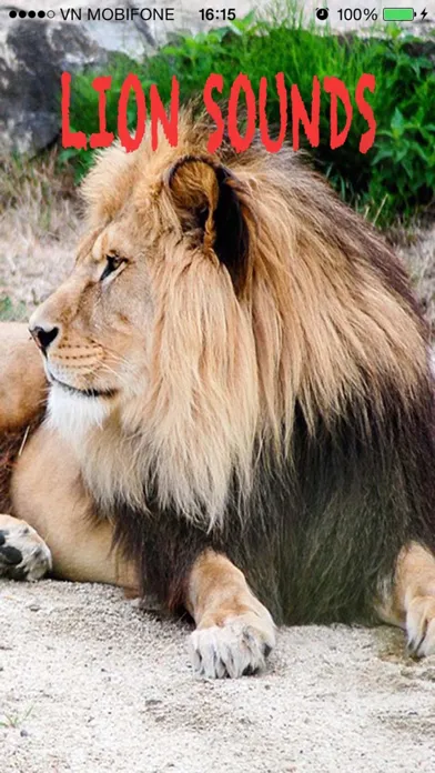 Lion Sounds - Lion Roaring, Lion Music Screenshots