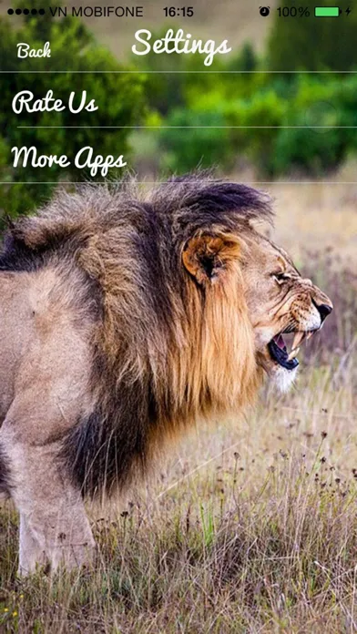 Lion Sounds - Lion Roaring, Lion Music Screenshots