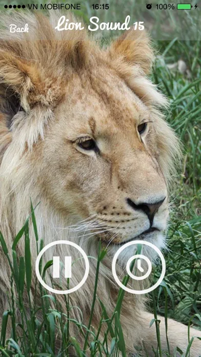 Lion Sounds - Lion Roaring, Lion Music Screenshots