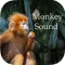 Monkey Sounds - Funny Sounds for kid