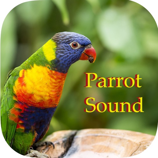 Parrot Sounds - Cockatoo,Caique,Kakariki