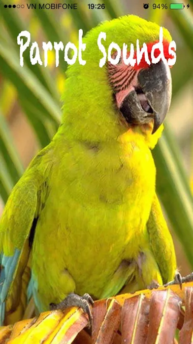 Parrot Sounds - Cockatoo,Caique,Kakariki Ekran Görüntüleri