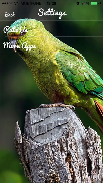 Parrot Sounds - Cockatoo,Caique,Kakariki Ekran Görüntüleri