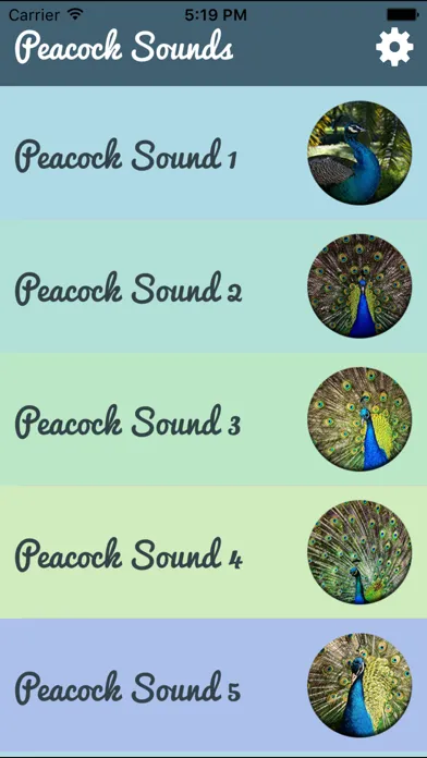 تصاویر Peacock - Chirping Sounds