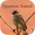 Sparrow Sounds - Free Sounds