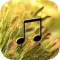 Wind Sounds - Wind Music,Relaxing and Sleep.