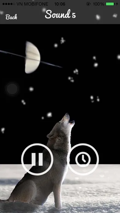 Скриншоты Wolf Sounds - Gray wolf Sounds