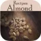 Almond Recipes - Almond Bread,Badam Pasinda