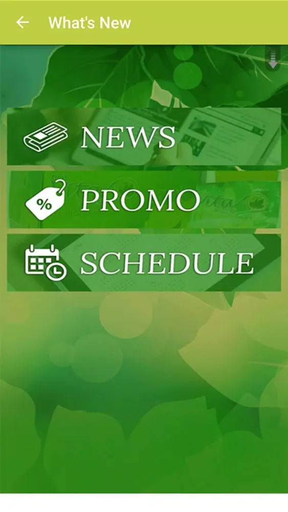 Ảnh chụp màn hình của First Vita Plus Marketing Corp