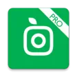 PlantSnap