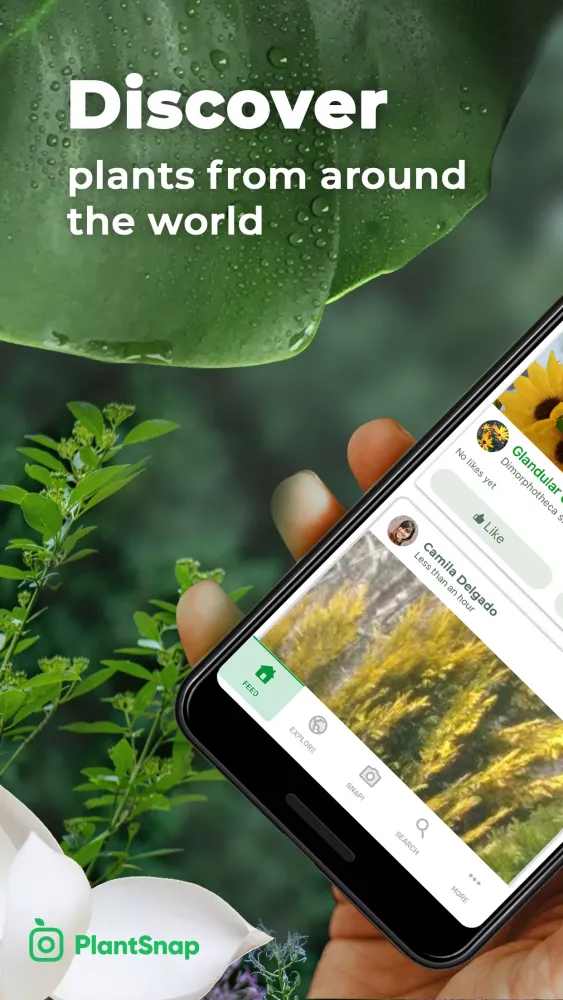 Скриншоты PlantSnap