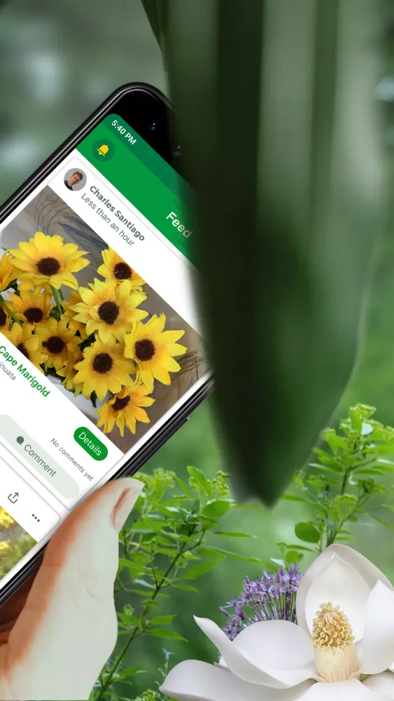 Скриншоты PlantSnap