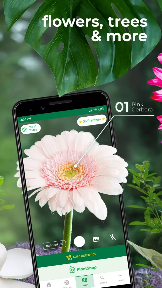 Скриншоты PlantSnap