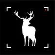 Hunting Camera