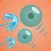 Rise of Slimes:Squishy Shooter