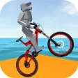 Super Ragdoll Biker