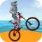 Super Ragdoll Biker