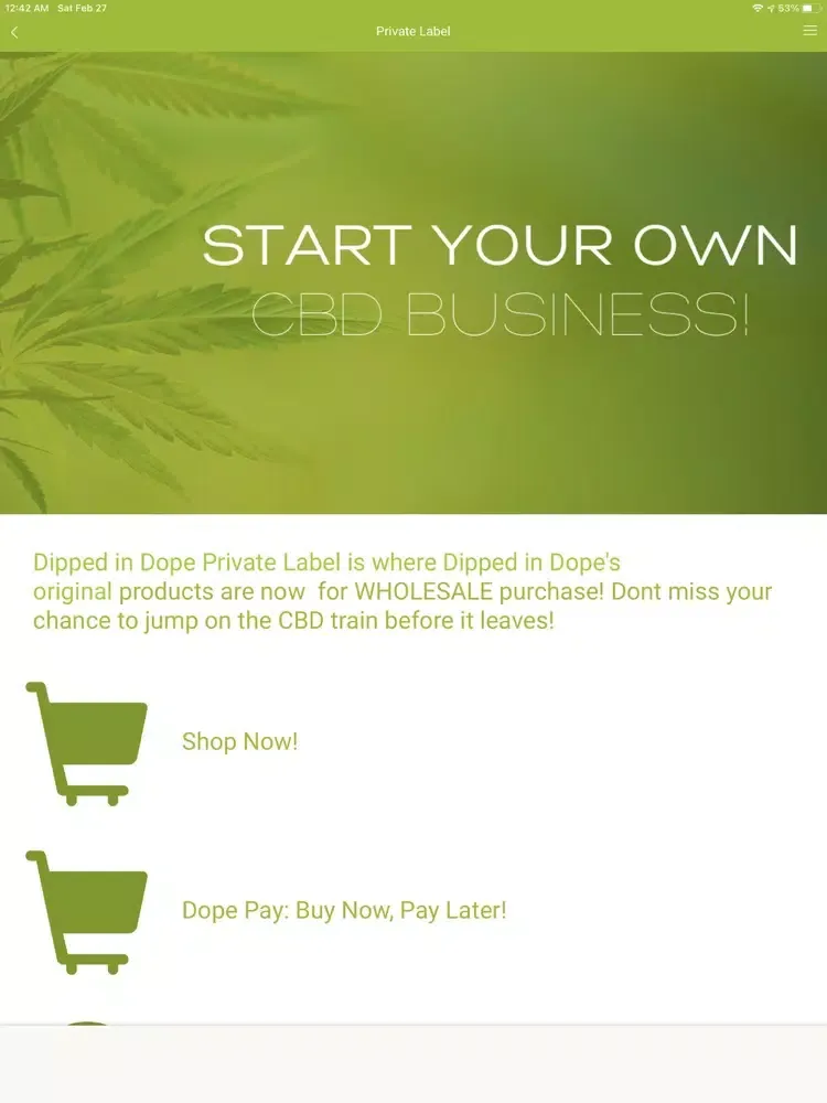 تصاویر Dipped in Dope iPad 