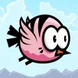Coco Bird