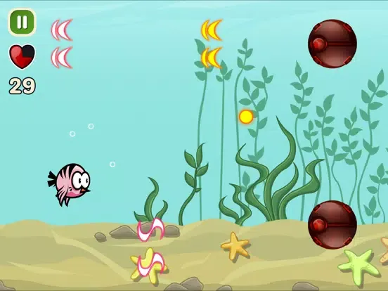 Zrzuty ekranu Coco Bird iPad 