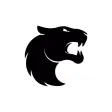 FURIA Esports FURIA Esports