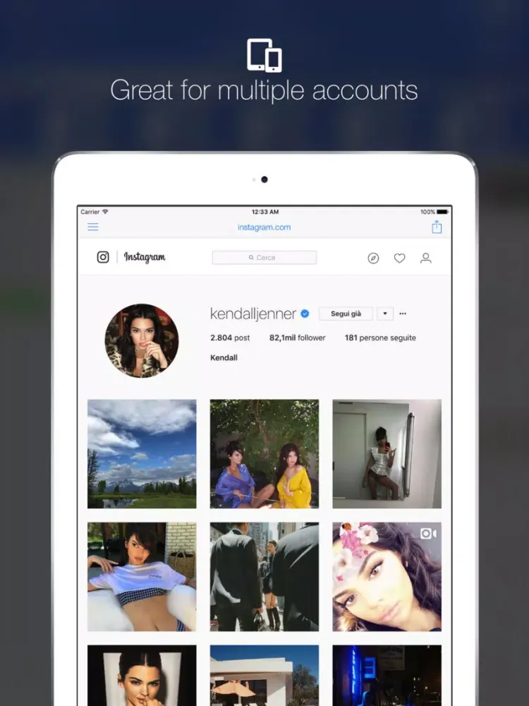 Minimal Browser - Smart Desktop Browsing iPad  স্ক্রিনশট
