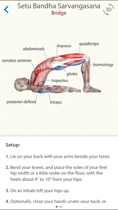 Captures d'écran de 3D Yoga Anatomy