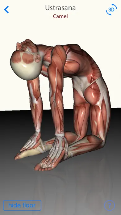 Captures d'écran de 3D Yoga Anatomy