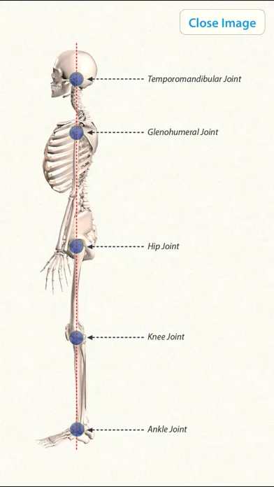 Captures d'écran de 3D Yoga Anatomy